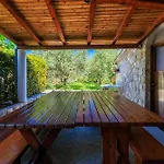Διαμέρισμα Info